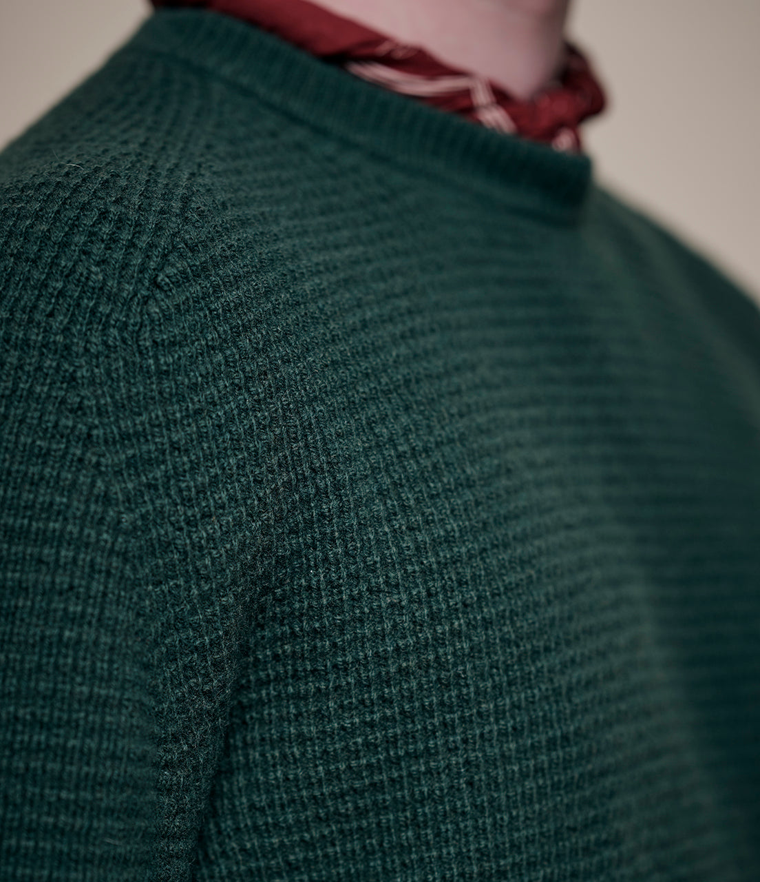Close-up of a person wearing a green knitted sweater with a red scarf.