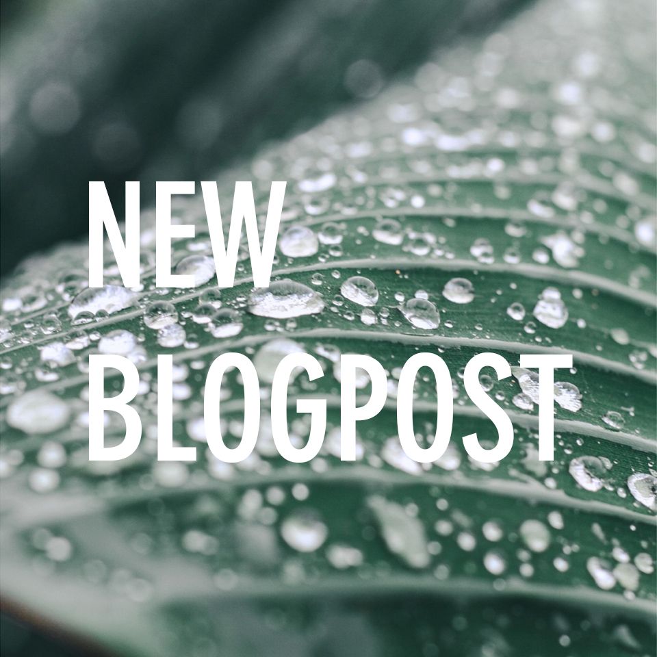 Odoo text and image block