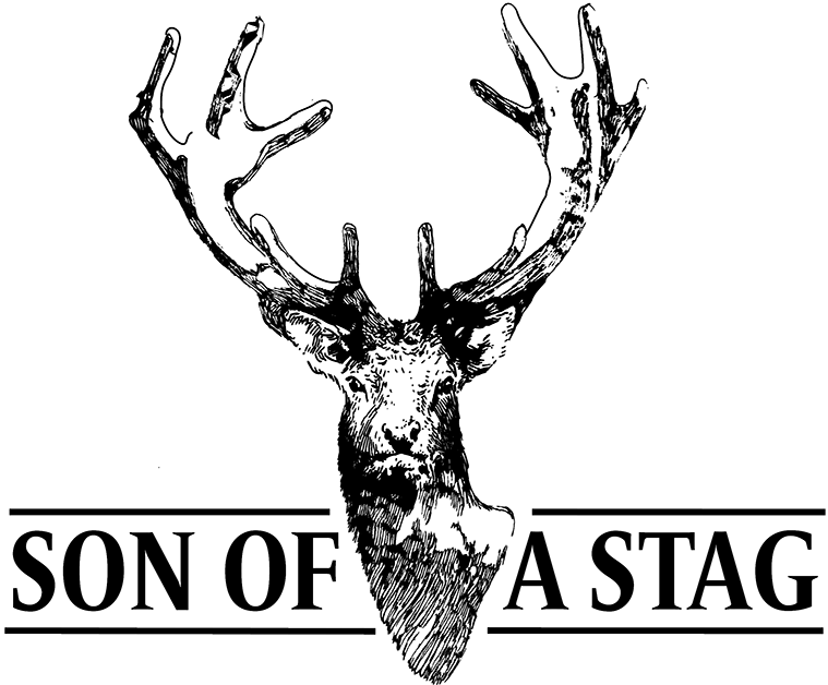 Odoo image and text block